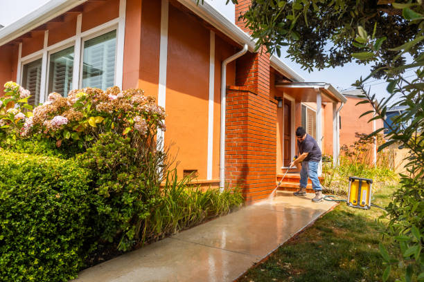 Best Pressure Washing Services for Businesses  in River Grove, IL