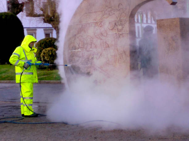 Best Roof Power Washing Services  in River Grove, IL