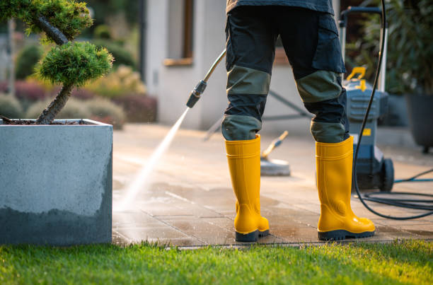 Best Pressure Washing Driveway  in River Grove, IL